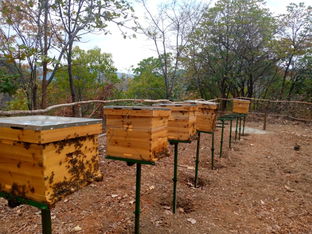 Bee Keeping