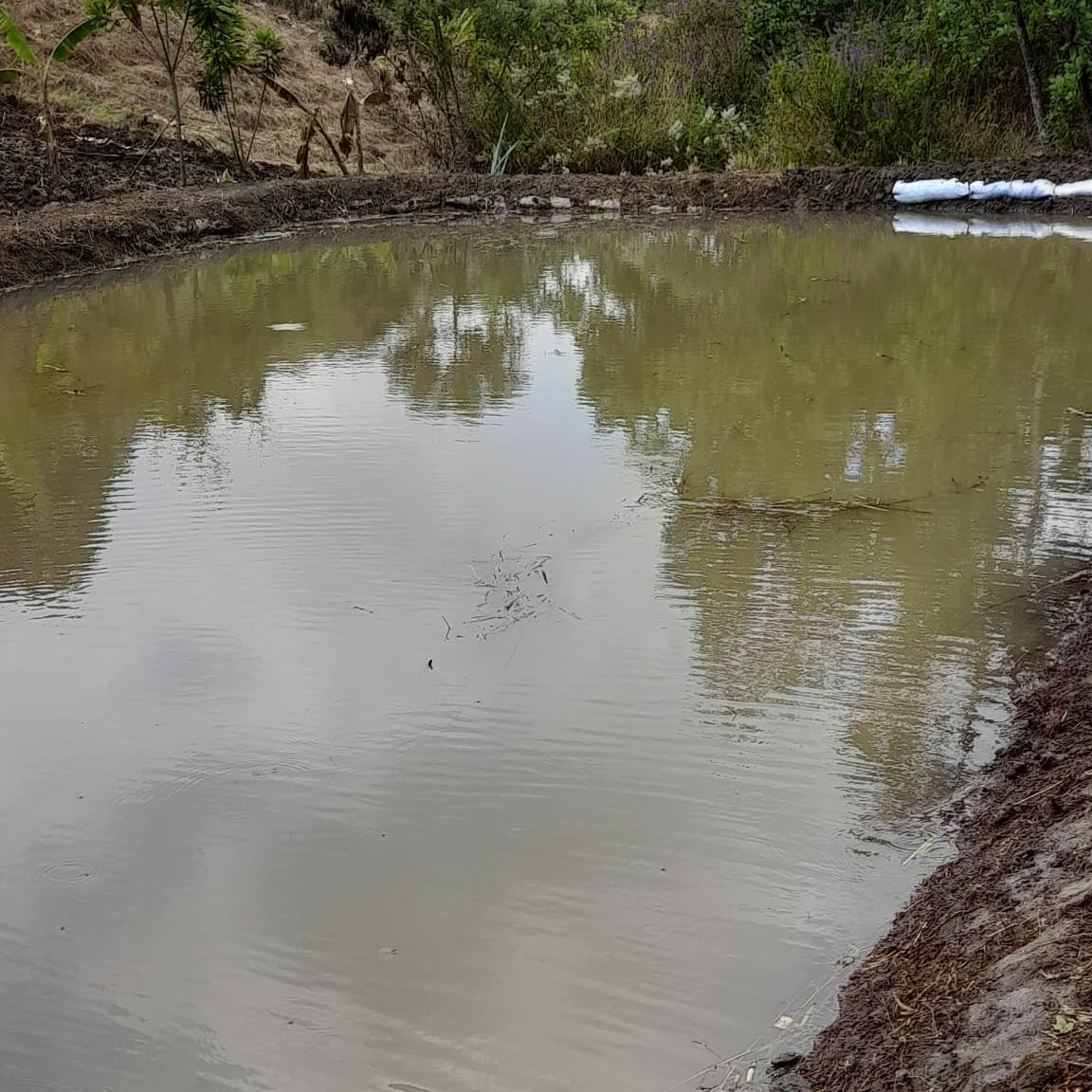 Fish Farming